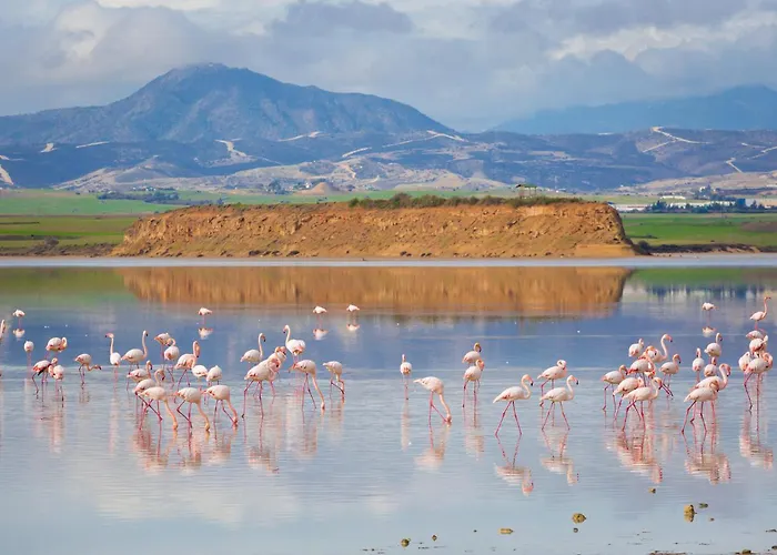 Apartment Mckenzie Mile *